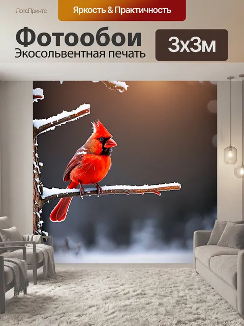 Фотообои яркий кардинал, сидящий на ветке зимнего дерева, покрытого инеем