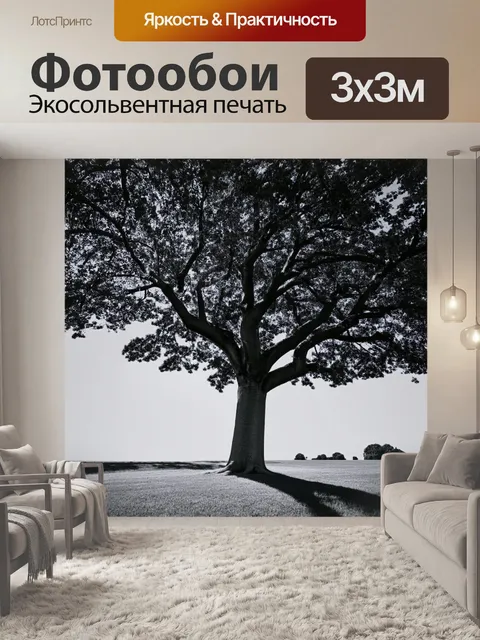 Фотообои тенистое высокое дерево в парке, к которому тянутся длинные тени, укрепляющие впечатление