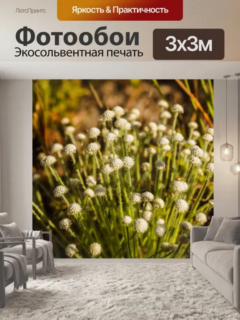 Фотообои Трава цветочное поле, полевые цветы