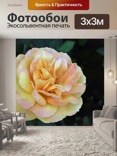 Фотообои Желтый и розовые розы
