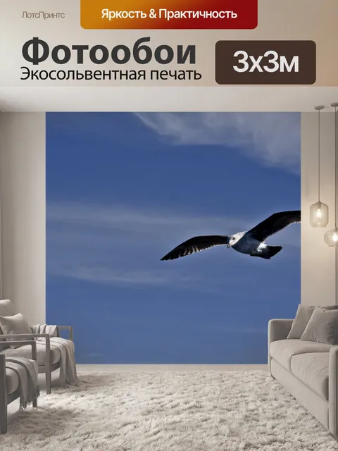 Фотообои Gull Flying