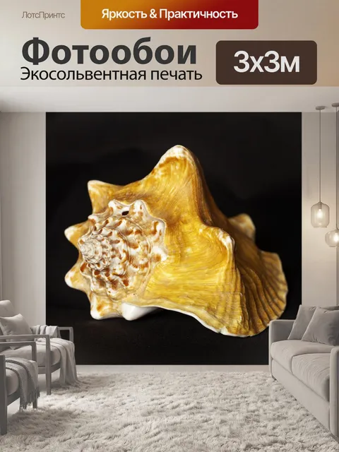 Фотообои Устрицы