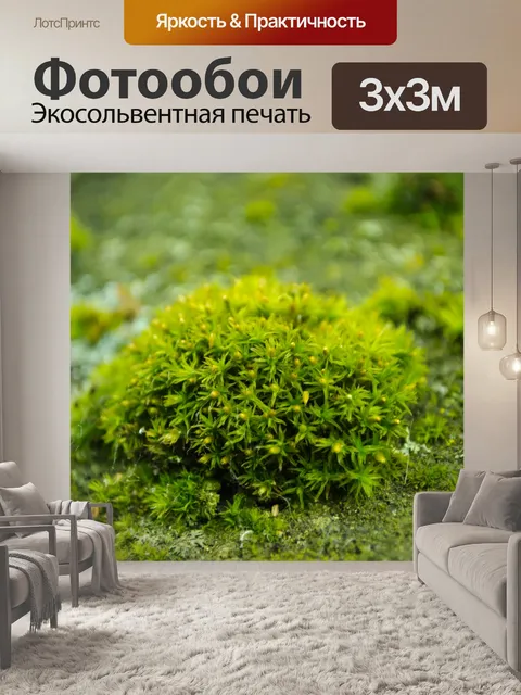Фотообои Мох