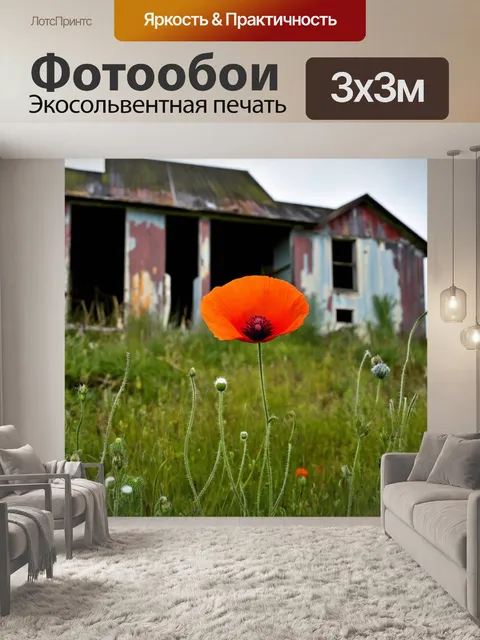 Фотообои мак, на фоне старинного заброшенного дома, который добавляет нотку ностальгии к изображению