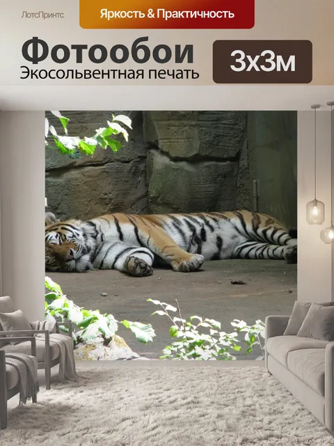 Фотообои Тигр