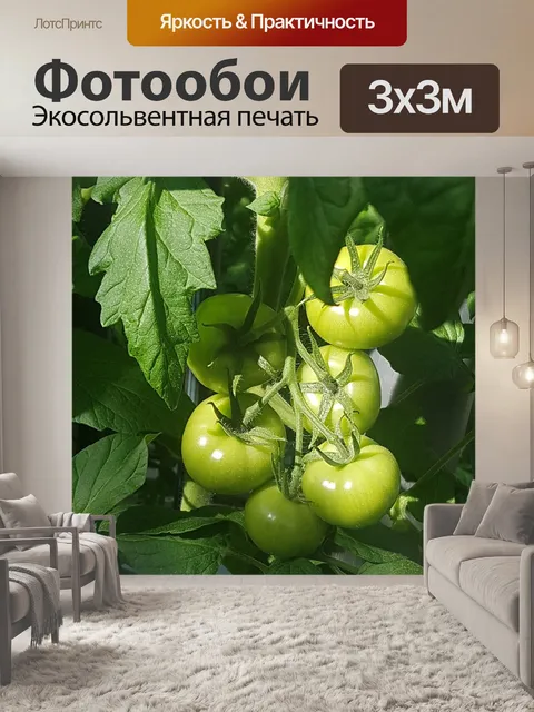 Фотообои Еда