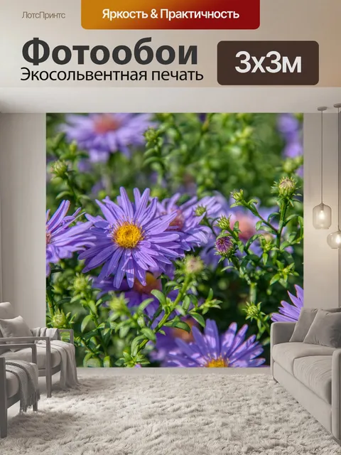 Фотообои Астра
