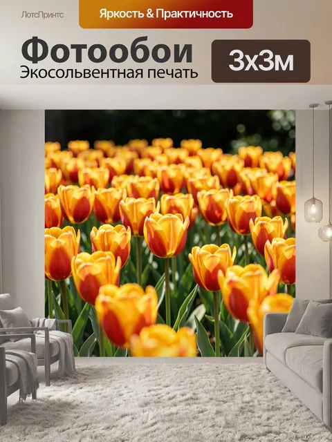 Фотообои Поле оранжево-желтых тюльпанов