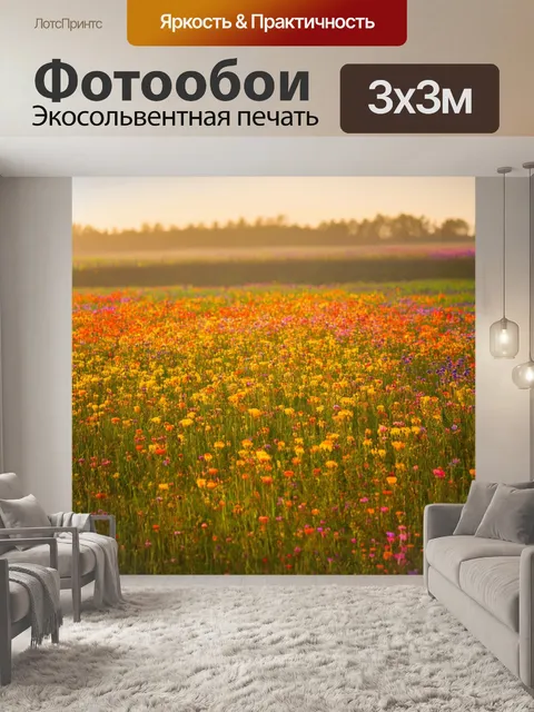 Фотообои утро, спокойное утреннее поле, пылающее огнем цветов, где природа радует утренними контрастами