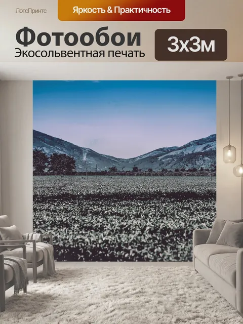 Фотообои Поля