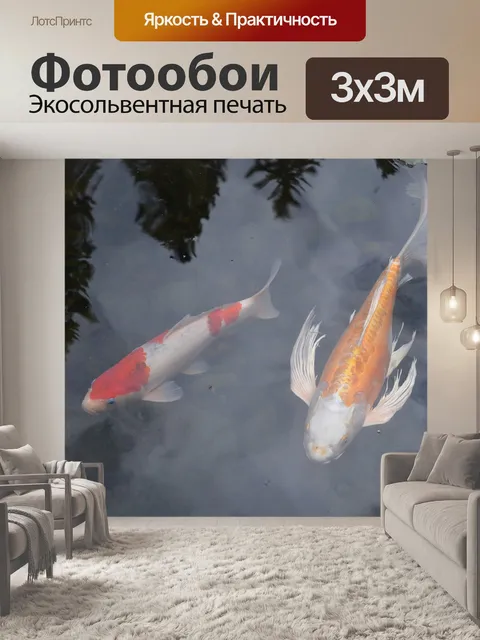 Фотообои Кои