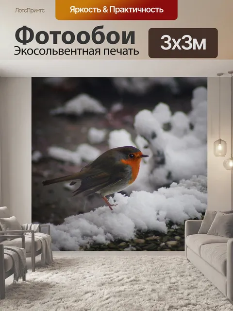 Фотообои Птица