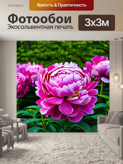Фотообои пионы в утреннем свете, распускающиеся в саду с каплями росы на лепестках