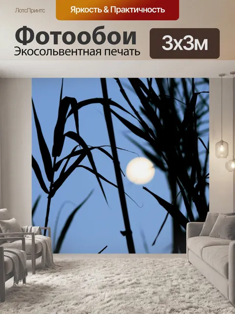 Фотообои полная луна в камышах