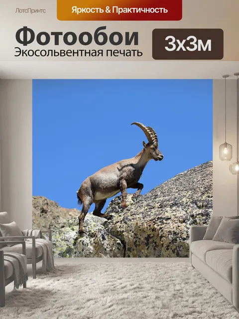 Фотообои Горный козел