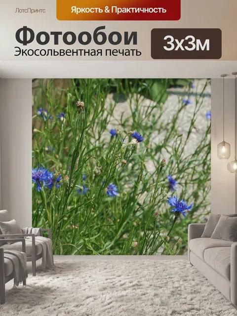 Фотообои Васильков