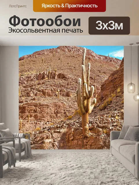 Фотообои Аргентина
