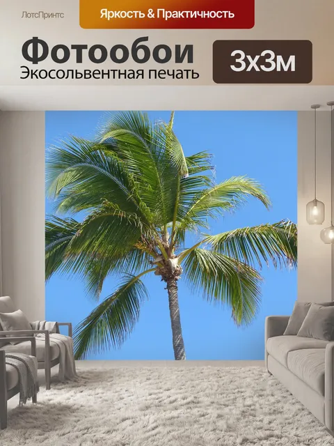 Фотообои Пальма