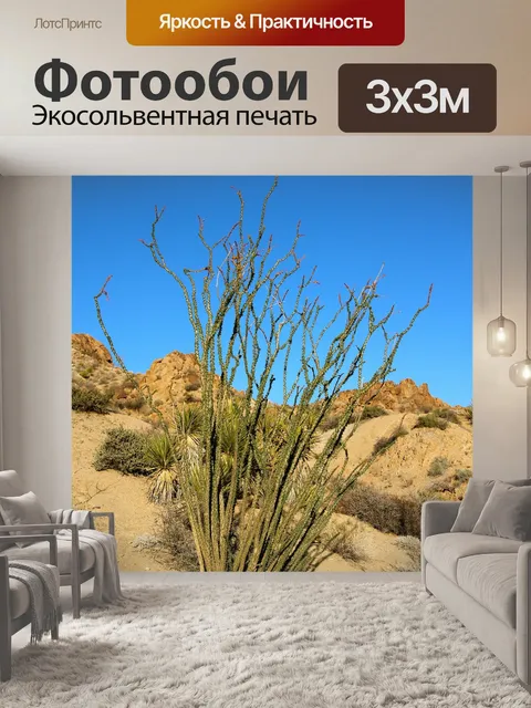 Фотообои Окотильо