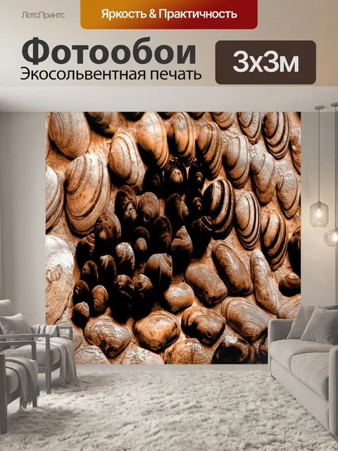 Фотообои Моллюски - 1