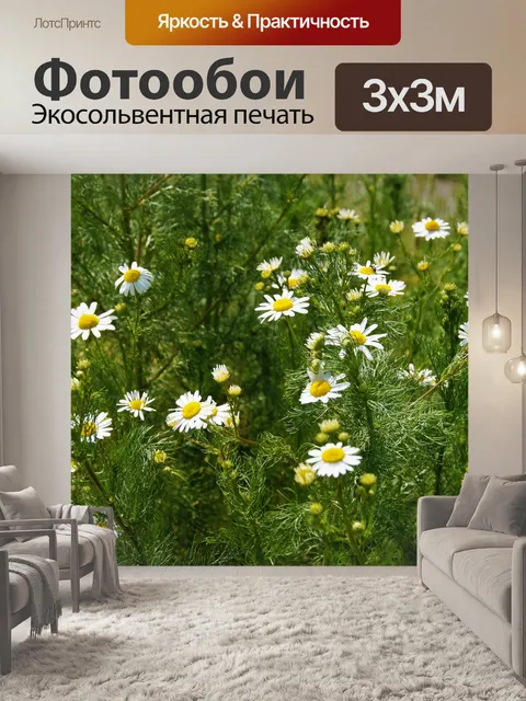 Фотообои Rmen