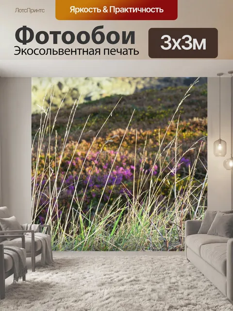 Фотообои Дюна