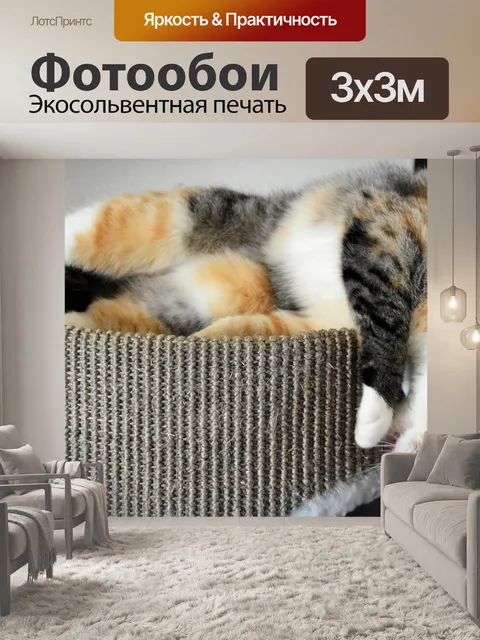 Фотообои Kitty Cat