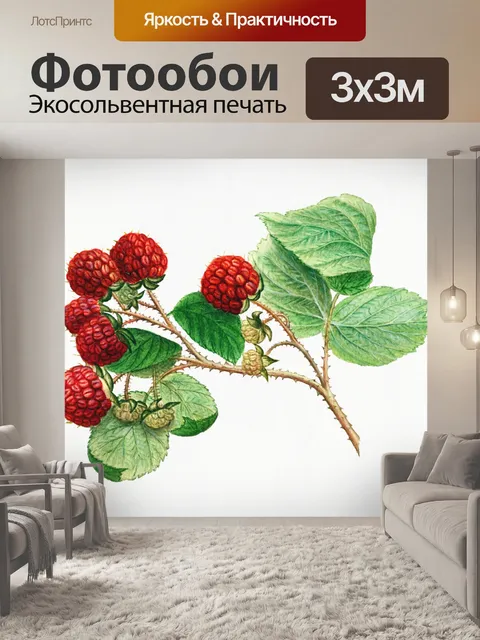 Фотообои Плоды малины фруктовое искусство