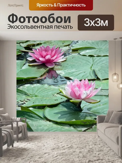 Фотообои Водяные лилии
