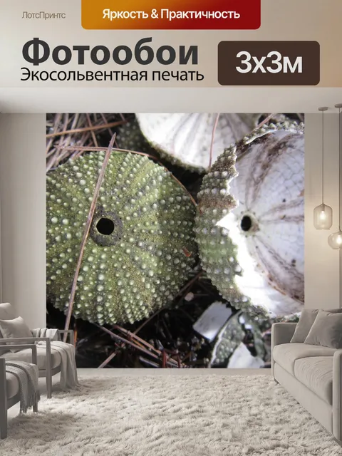 Фотообои Лайм