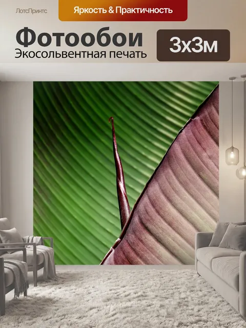 Фотообои Лист