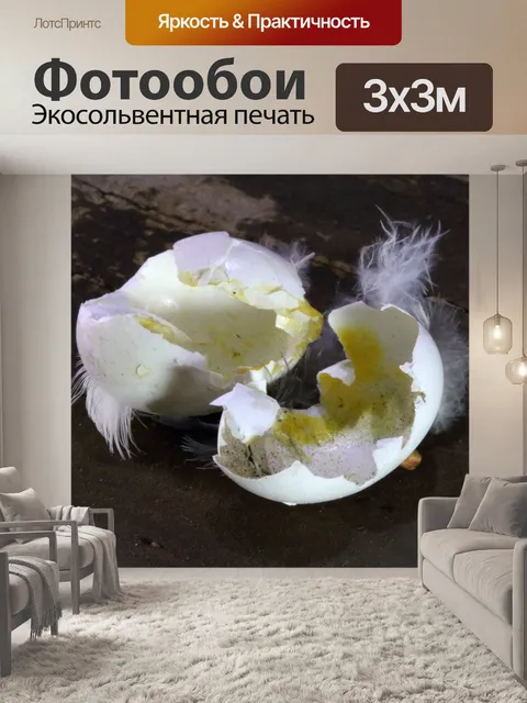 Фотообои мягкие пушистые перья и сломанные ракови