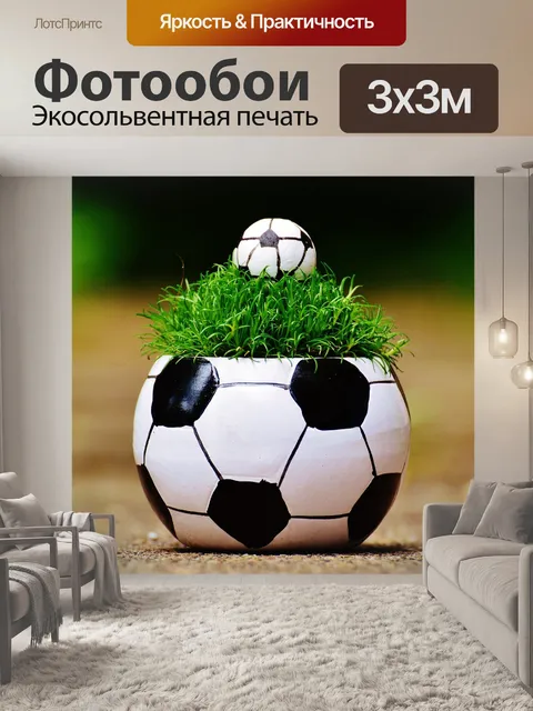 Фотообои Чемпионат европы