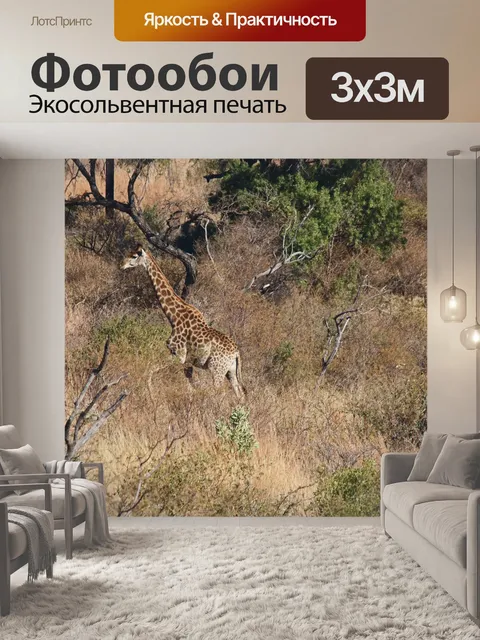 Фотообои высокий жираф движется по траве