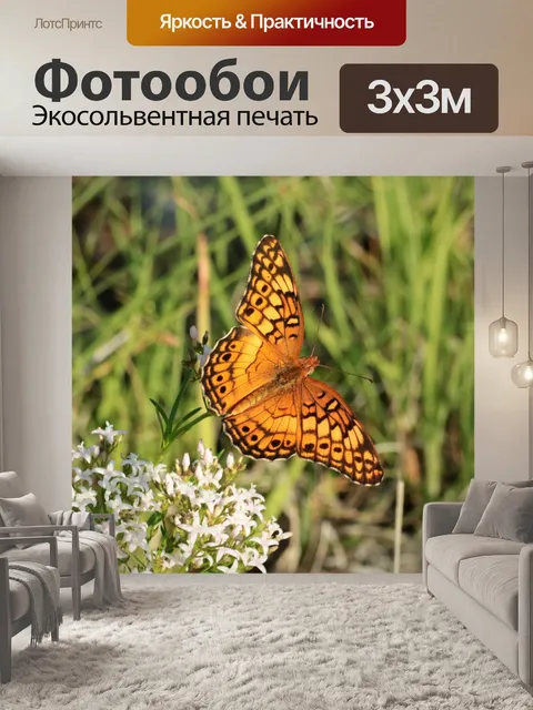 Фотообои Разноцветная бабочка-бабочка 5