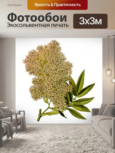 Фотообои Африканец