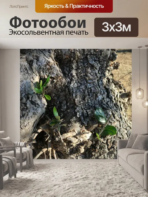 Фотообои Дерево