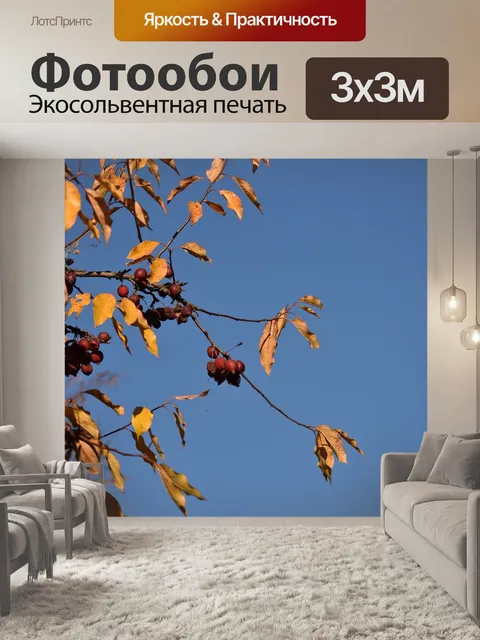 Фотообои Осень