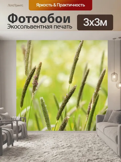 Фотообои Луг