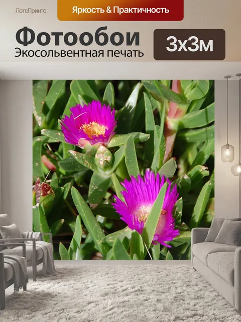 Фотообои Цветы