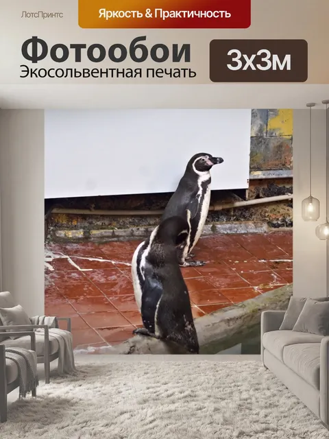 Фотообои Два Пингвины