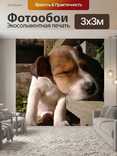 Фотообои Щенки