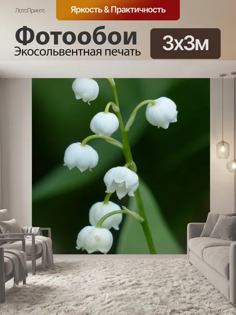 Фотообои Ландыш