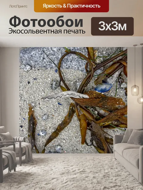 Фотообои Океан Натюрморт