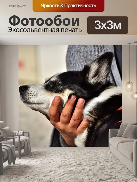 Фотообои Гибридный