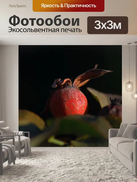 Фотообои сухая текстура на красном розовом яблоке