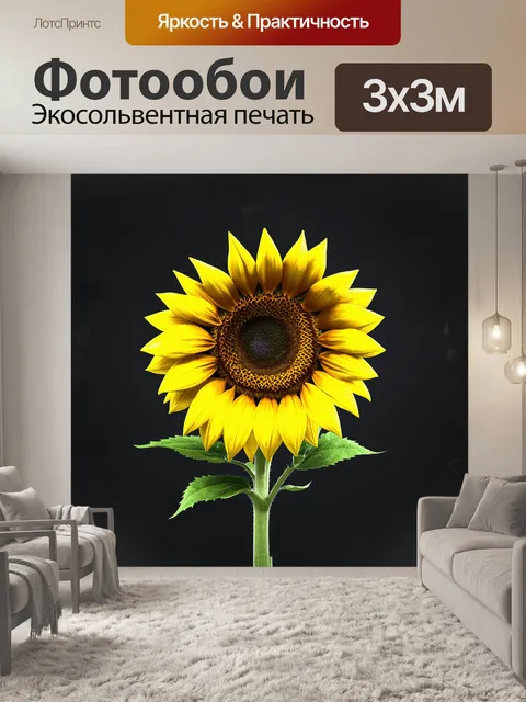 Фотообои большой подсолнух с яркими желтыми лепестками и темной серединкой
