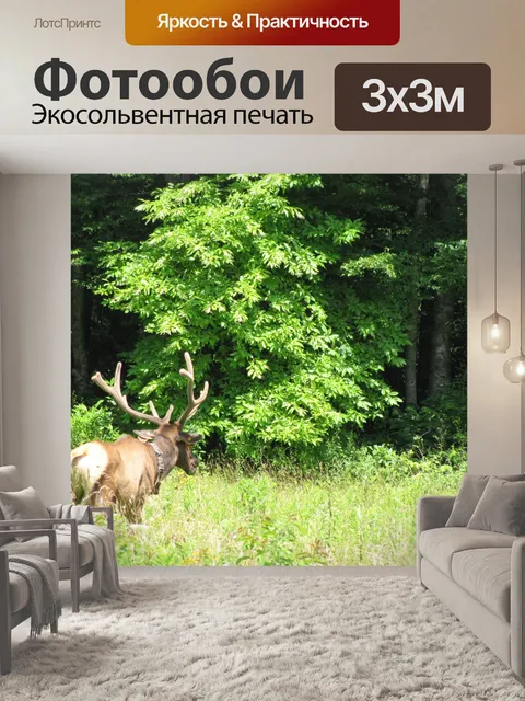 Фотообои Северная Каролина Elk