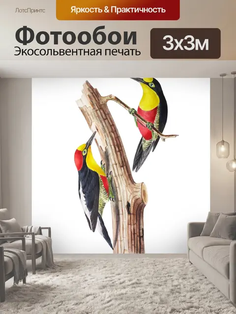 Фотообои Винтажное тропическое искусство с птицам