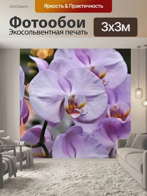 Фотообои Орхидеи